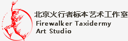 北京火行者标本技术开发有限公司